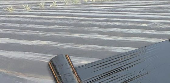 Película metalizada agrícola ultra fina del PE, película plástica del pajote del negro del invernadero