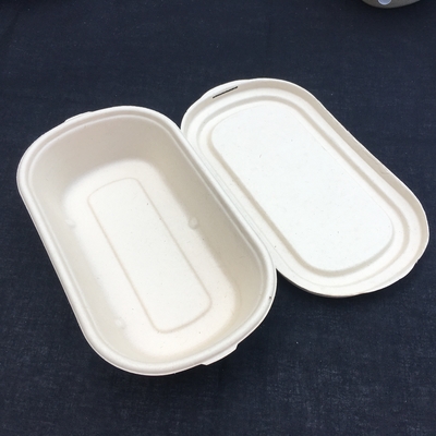 Fiambrera disponible de la ensalada biodegradable de la caña de azúcar del 100% con la tapa transparente