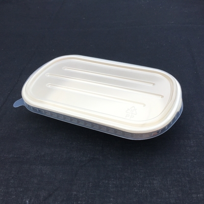 Fiambrera disponible de la ensalada biodegradable de la caña de azúcar del 100% con la tapa transparente