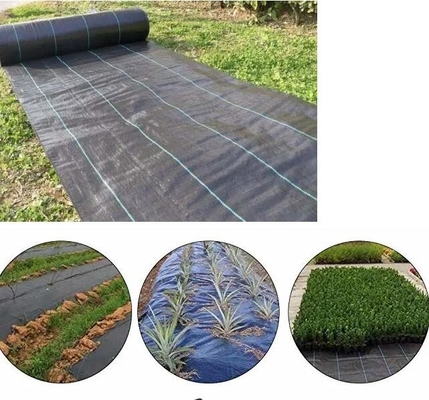 PP con alta permeabilidad a los rayos UV, colchoneta de control de malezas verde y negro, tejido agrícola