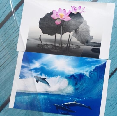 Película de automóvil colorida con láser, autoadhesivo de PVC con letras láser, pegatinas para automóviles, pegatinas instantáneas recubiertas de aluminio