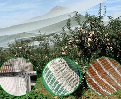 100% PE Blanco de color transparente invernadero Red anti insectos para plantas y uvas