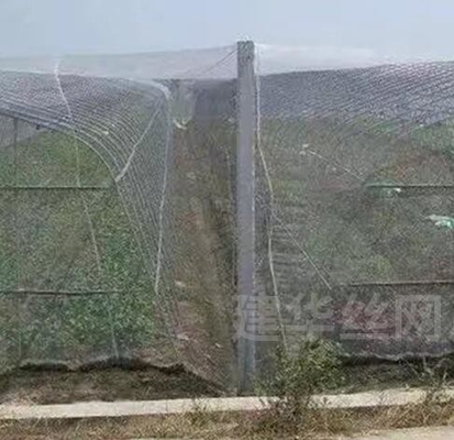 40 50 60 malla 125 g invernadero de la agricultura red anti insectos con impresión aceptable