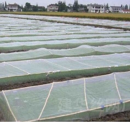 40 50 60 malla 125 g invernadero de la agricultura red anti insectos con impresión aceptable