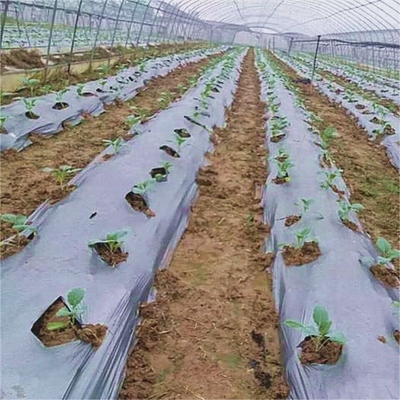 Agricultura Película de mulch para malezas Restaurar la temperatura del suelo y la retención de humedad V6