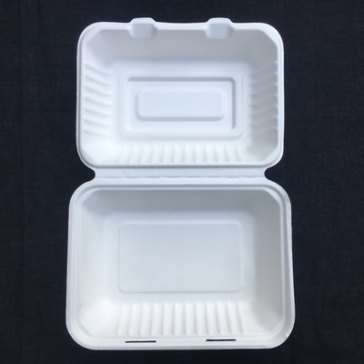 Rectángulo 600ml biodegradable Bento Lunch Box Sugarcane Pulp disponible