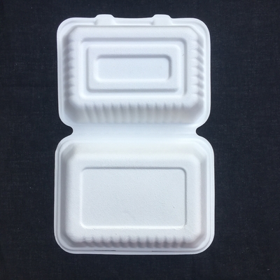 Rectángulo 600ml biodegradable Bento Lunch Box Sugarcane Pulp disponible