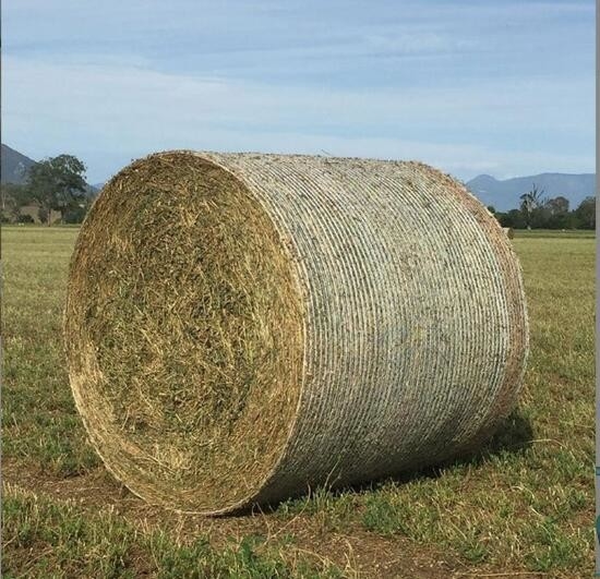 PE Plástico Agrícola Redonda Maíz Bale Red Silage Red de piensos Red de paja Bale Red de baler Especial