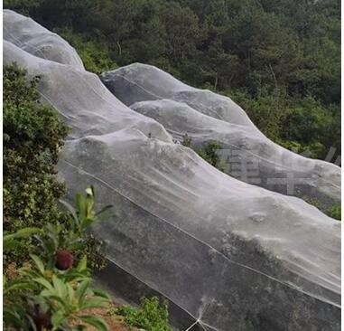 100% PE Blanco de color transparente invernadero Red anti insectos para plantas y uvas